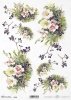 Obst und Blumen, Wildrose, Holunder schwarz, Blume, Knospe, Knospen, Blatt, Blätter, Strauss, Sträusse, Garten, Wiese, fruta y flores, rosa silvestre, saúco negro, flor, capullo, brotes, hoja, hojas, ramo, ramilletes, jardín, pradera